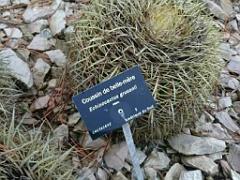 131 Ile de Batz Jardin Georges Delaselle_000010